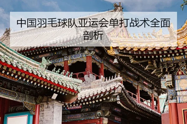 中国羽毛球队亚运会单打战术全面剖析